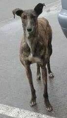 1552884_10200750578920851_1270817205_a